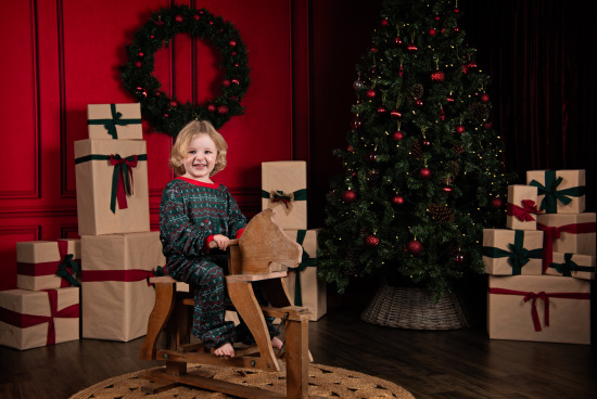 Christmas Mini Sessions (NO SANTA)