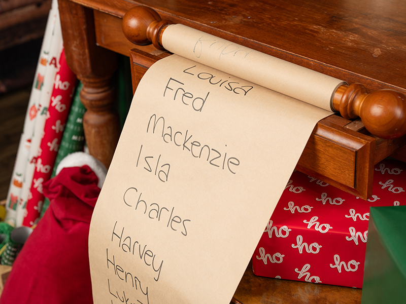 The Santa Experience | SantaPhotosAlbanyCreekBrisbane.jpg