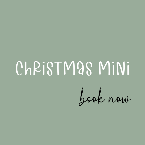 2025 Christmas Mini Session